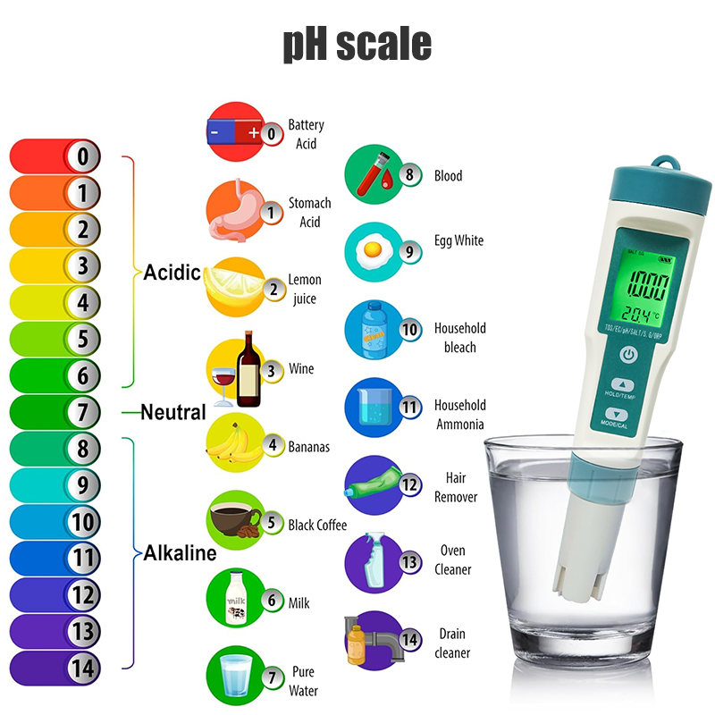 WESTTUNE Digital PH Meter 7 In - đánh giá và giá Ph Meter Digital Water Tester