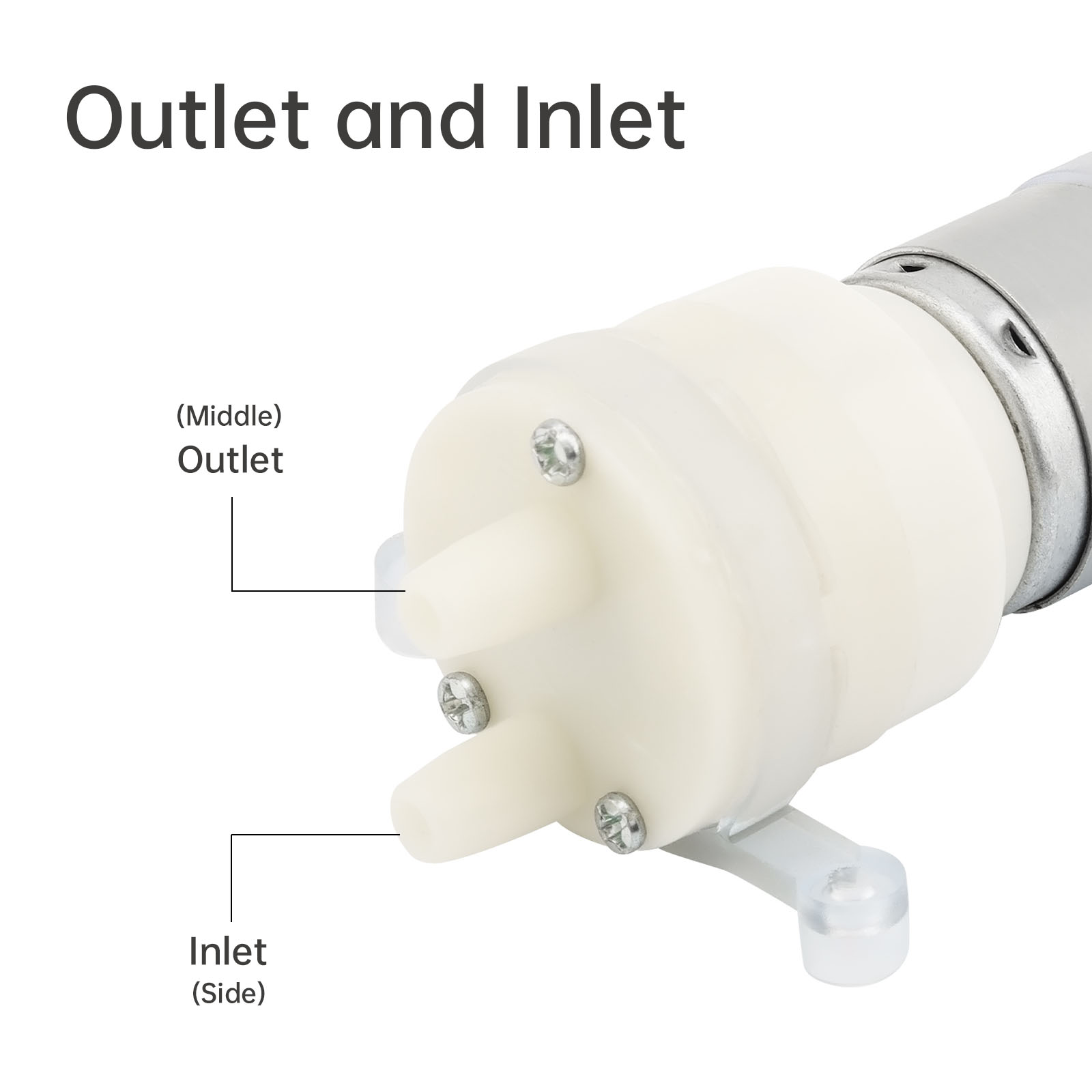 R365 Micro Water Pump Motor DC - đánh giá và giá Mini Peristaltic Pump 12V